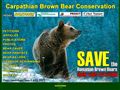 Brown Bear Conservation