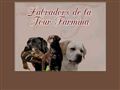 labradors de la tour farmina