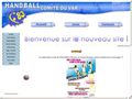 HANDBALL Comité Départemental du Var