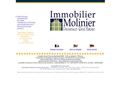 Immobilier Molinier